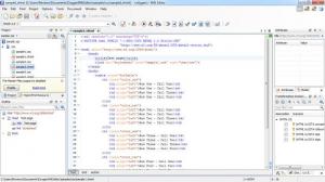 Enlarge oXygen XML Editor Screenshot