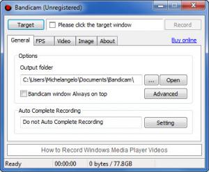 Enlarge Bandicam Screenshot