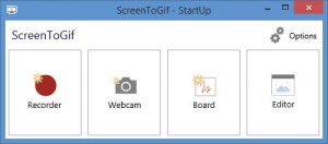 Enlarge Screen To Gif Screenshot