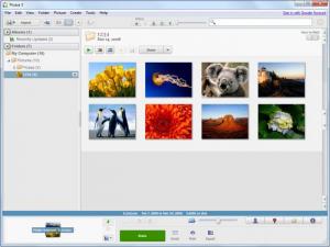 Picasa 3 For Windows 8 Download Free
