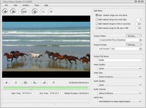 Enlarge Ultra Video Splitter Screenshot