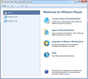 Enlarge VMware  Player Screenshot