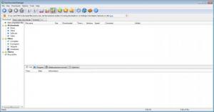 Enlarge Free Download Manager Screenshot