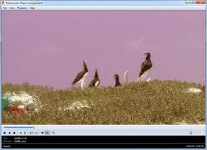 Enlarge Stereoscopic Player Screenshot