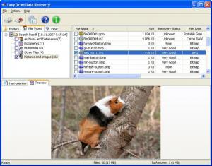 Easy Drive Data Recovery  For PC